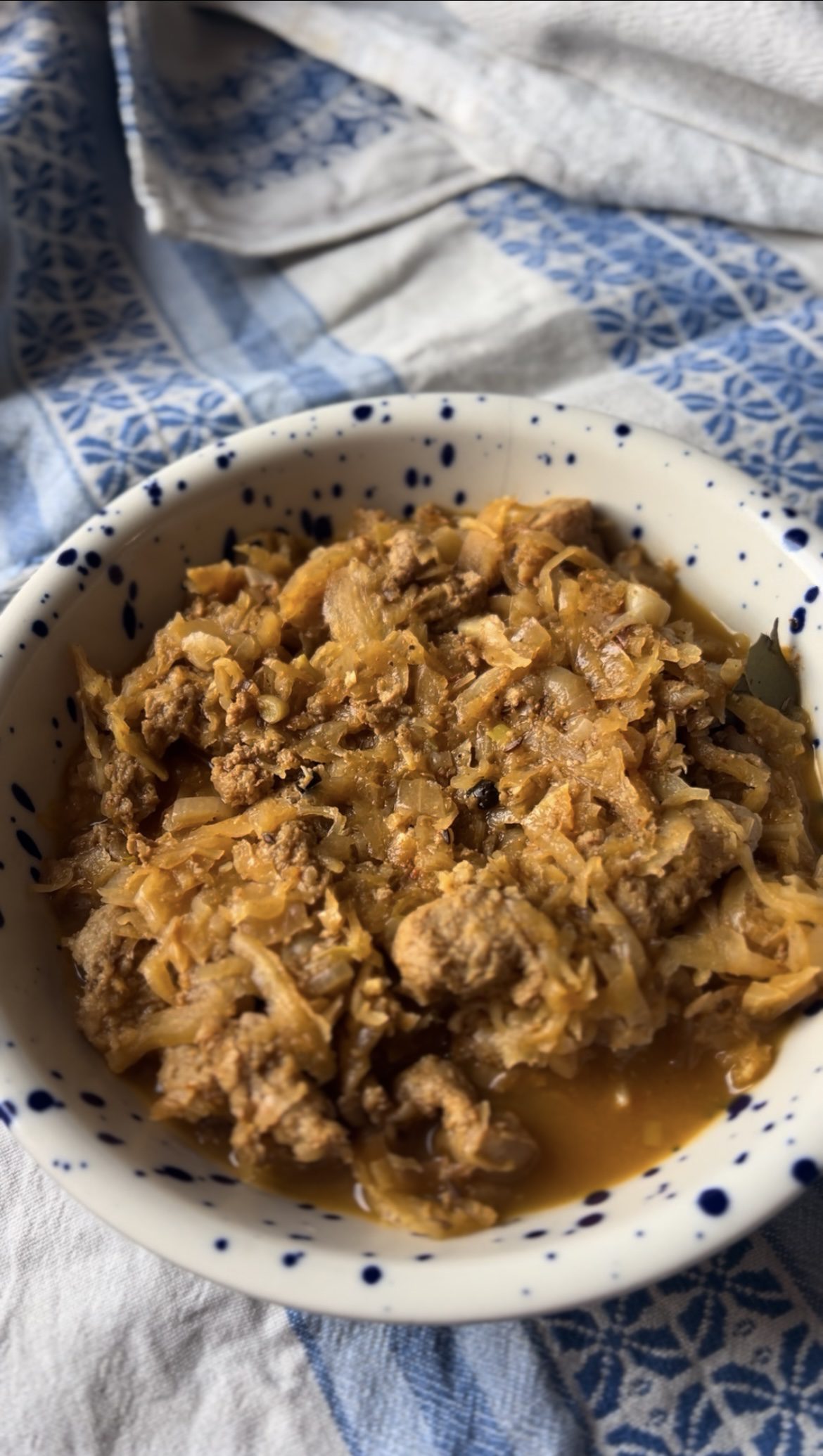 Sauerkraut & Soy Meat Stew